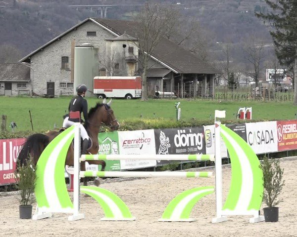 Reitturnier Giubiasco 2024