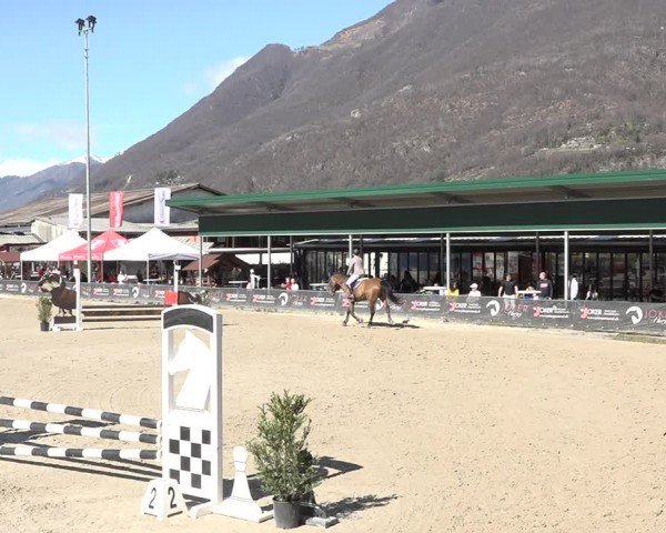 Reitturnier Giubiasco 2024