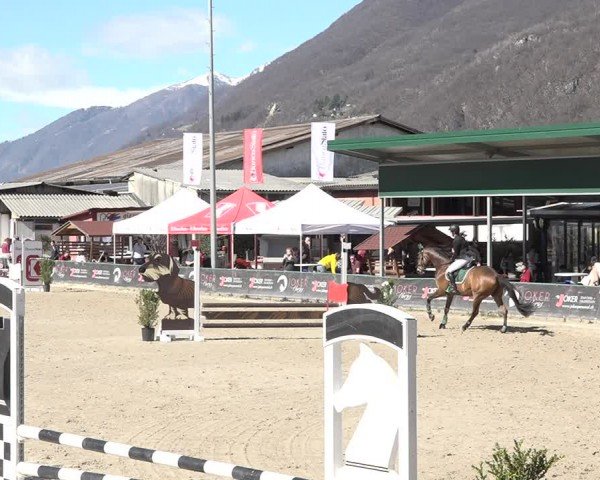 Reitturnier Giubiasco 2024
