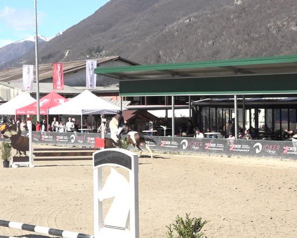 Reitturnier Giubiasco 2024