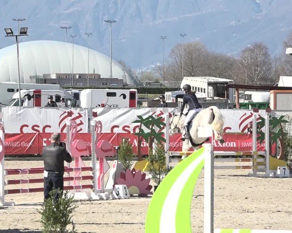 Reitturnier Giubiasco 2024