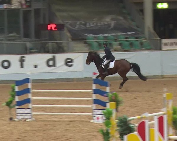 Springturnier Kreuth 2021