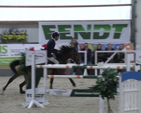 Reitturnier Borken 2024