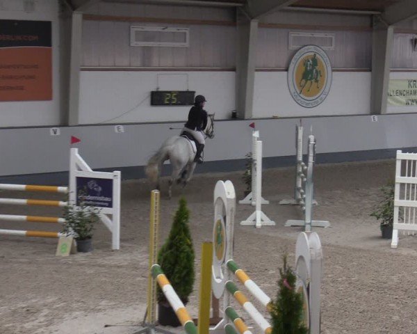 Reitturnier Münchehofe 2024