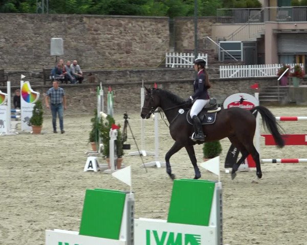 Erntedank Springturnier Nörten-Hardenberg 2021