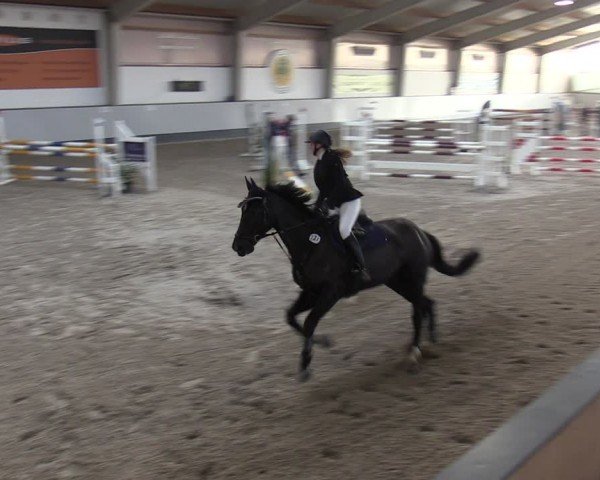 Reitturnier Münchehofe 2024