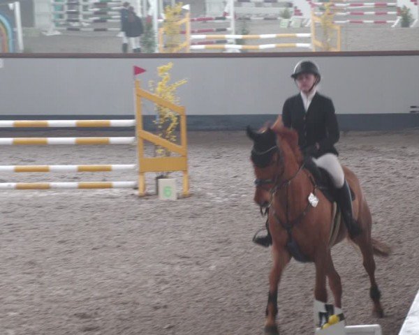 Reitturnier Münchehofe 2024