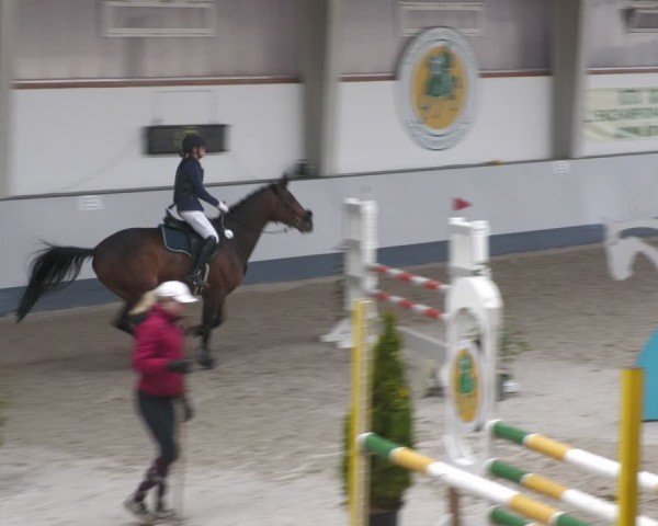 Reitturnier Münchehofe 2024