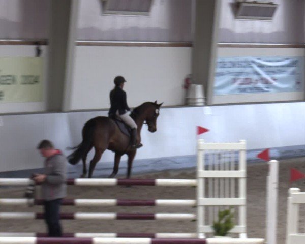 Reitturnier Münchehofe 2024