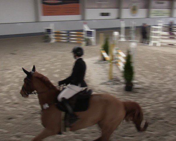 Reitturnier Münchehofe 2024