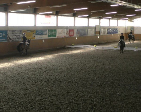 Reitturnier Hildesheim-Steuerwald 2024