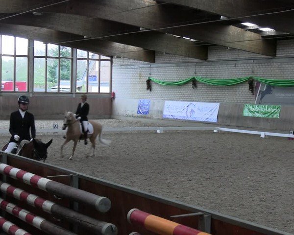 Reitturnier Leverkusen-Rheindorf 2024