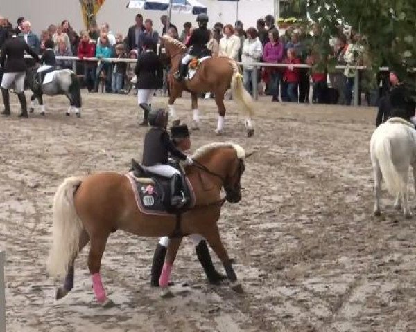 Sommerturnier Recklinghausen 2011