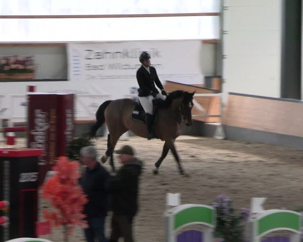 Reitturnier Borken 2024