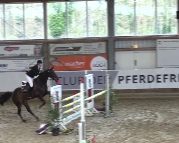 Reitturnier Goch 2024