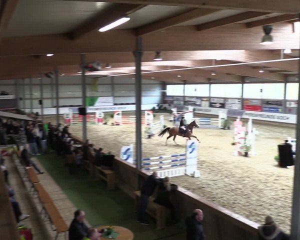 Reitturnier Goch 2024