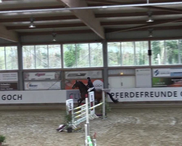 Reitturnier Goch 2024