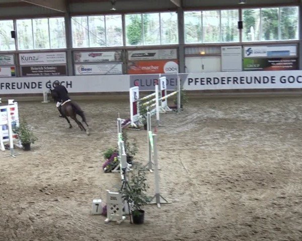 Reitturnier Goch 2024