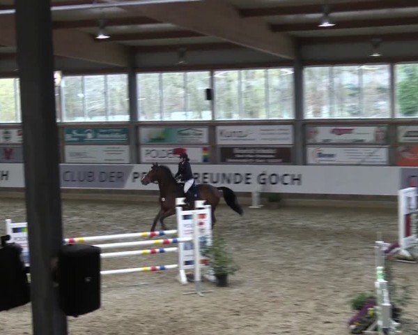 Reitturnier Goch 2024