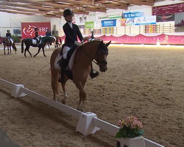 Reitturnier Eicherloh RH Laurent/Obb. 2024
