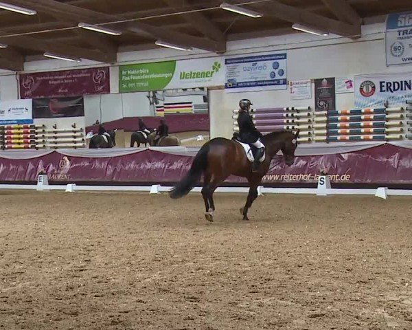Reitturnier Eicherloh RH Laurent/Obb. 2024