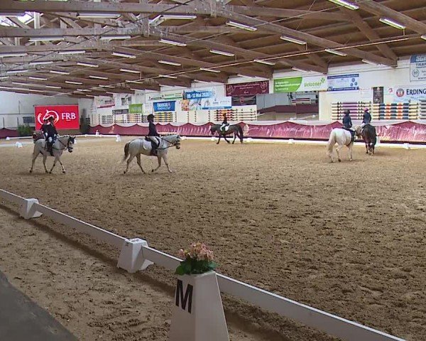 Reitturnier Eicherloh RH Laurent/Obb. 2024