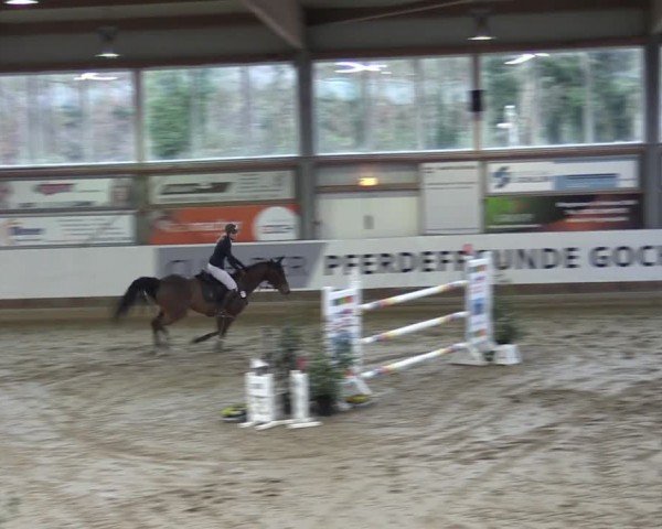 Reitturnier Goch 2024
