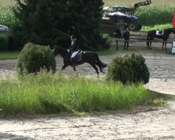 Sommerturnier Recklinghausen 2011
