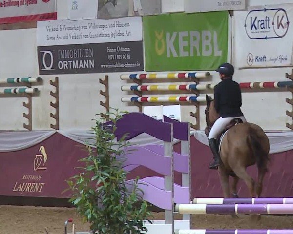 Reitturnier Eicherloh RH Laurent/Obb. 2024