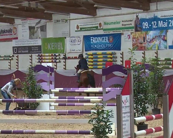 Reitturnier Eicherloh RH Laurent/Obb. 2024