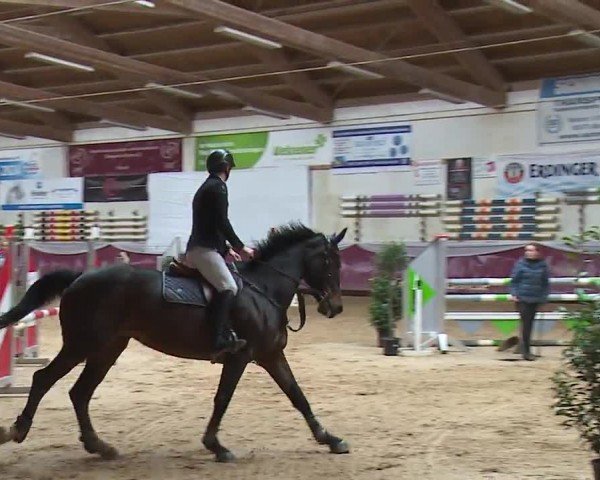 Reitturnier Eicherloh RH Laurent/Obb. 2024