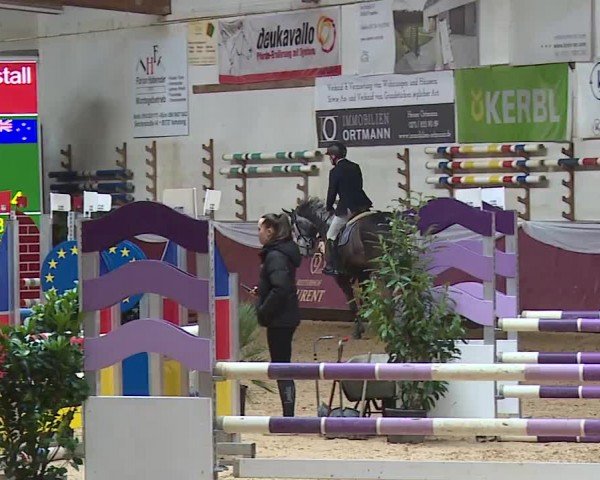 Reitturnier Eicherloh RH Laurent/Obb. 2024