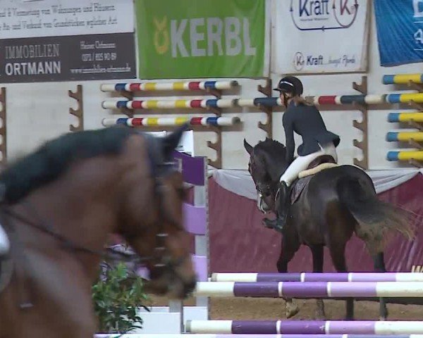 Reitturnier Eicherloh RH Laurent/Obb. 2024