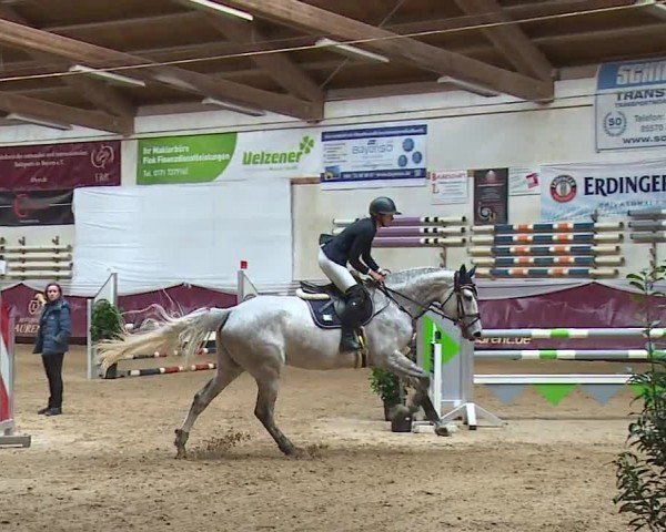 Reitturnier Eicherloh RH Laurent/Obb. 2024