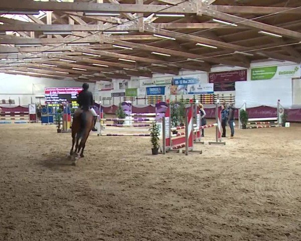 Reitturnier Eicherloh RH Laurent/Obb. 2024