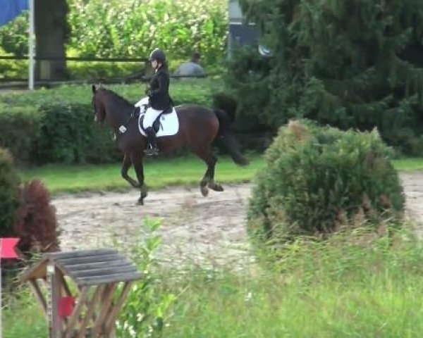 Sommerturnier Recklinghausen 2011