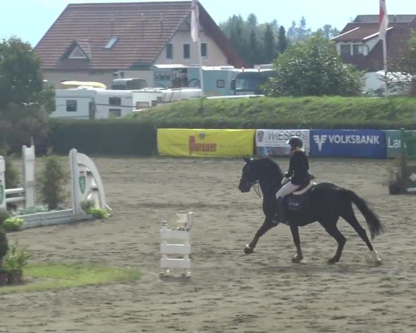 Reitturnier Sachendorf 2023