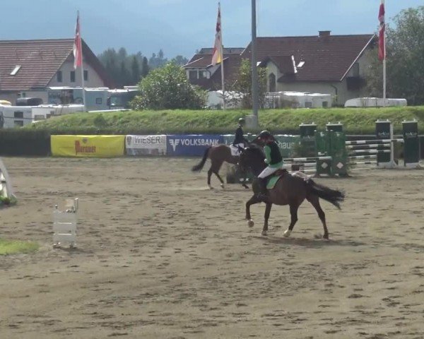 Reitturnier Sachendorf 2023