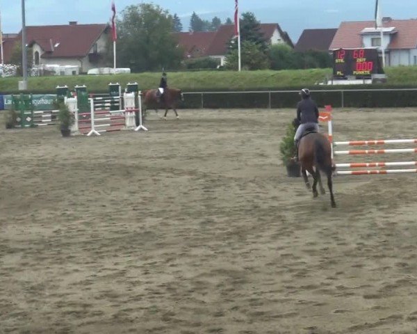 Reitturnier Sachendorf 2023