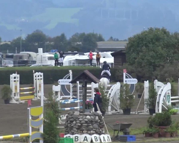 Reitturnier Sachendorf 2023
