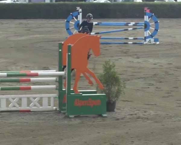 Reitturnier Sachendorf 2023