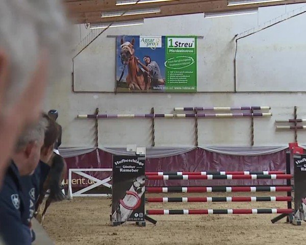 Reitturnier Eicherloh RH Laurent/Obb. 2024