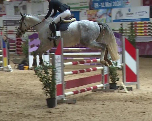 Reitturnier Eicherloh RH Laurent/Obb. 2024