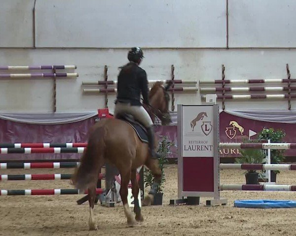 Reitturnier Eicherloh RH Laurent/Obb. 2024