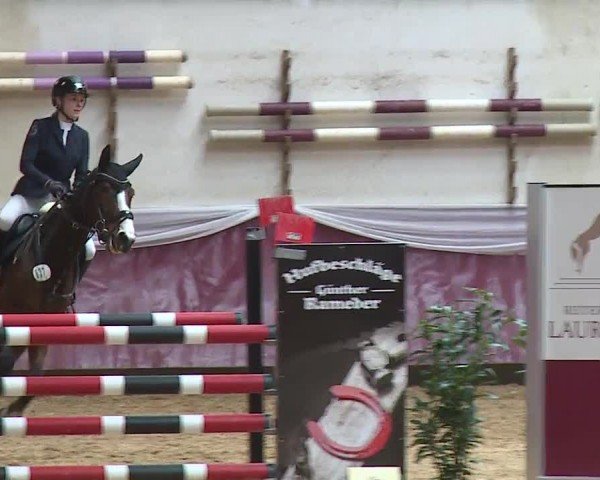 Reitturnier Eicherloh RH Laurent/Obb. 2024