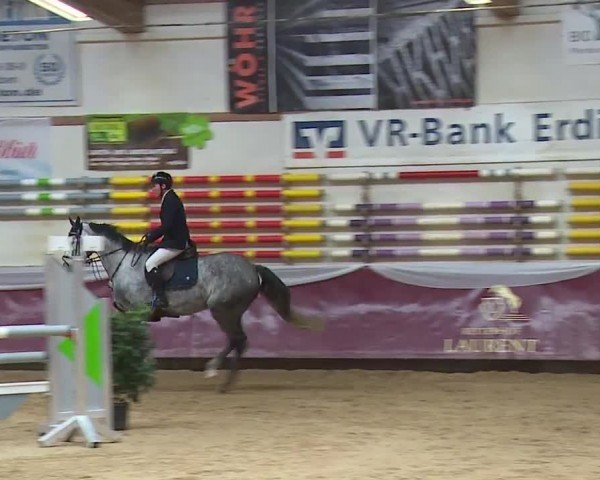 Reitturnier Eicherloh RH Laurent/Obb. 2024