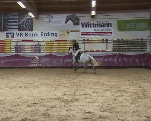 Reitturnier Eicherloh RH Laurent/Obb. 2024