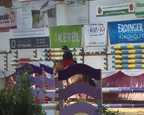 Reitturnier Eicherloh RH Laurent/Obb. 2024
