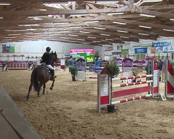 Reitturnier Eicherloh RH Laurent/Obb. 2024