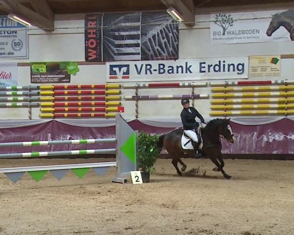 Reitturnier Eicherloh RH Laurent/Obb. 2024